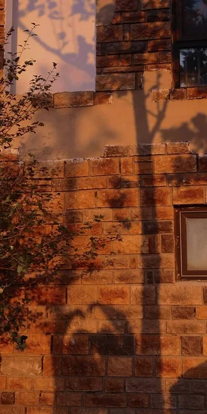 old brick wall with a window