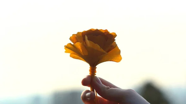 a woman\'s hand holding a flower in the hands of a young girl