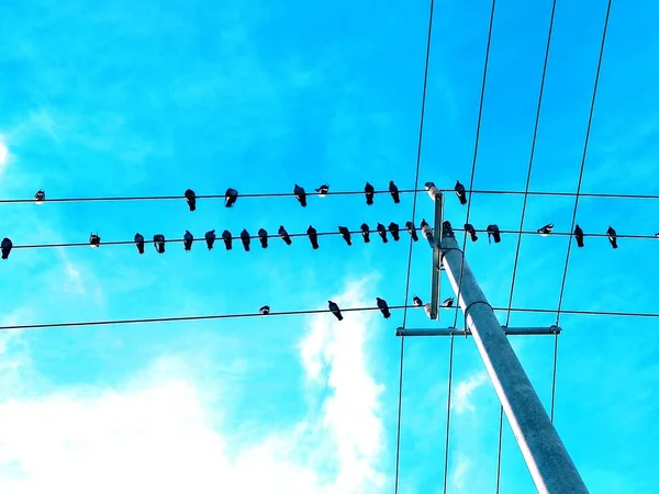 high voltage post and wires on the sky background