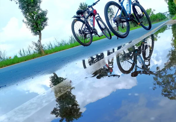 cyclist riding a bicycle in the forest