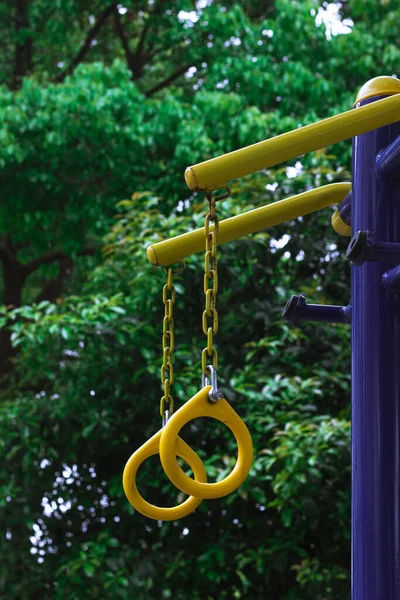 green park swing in the playground