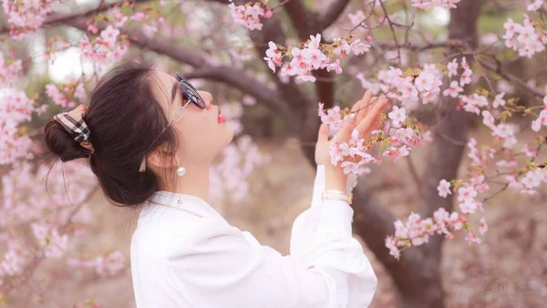 young woman with pink hair in a white dress and a hat on a background of sakura trees