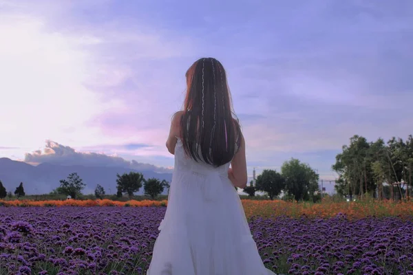 beautiful young woman in a field of lavender