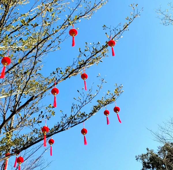 red and white lanterns on a background of blue sky