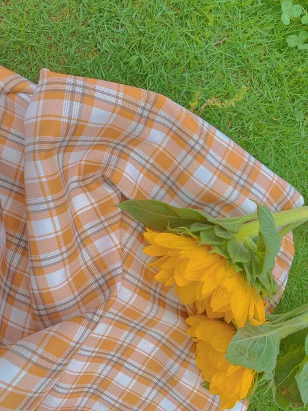 yellow plaid with green grass and a blanket on the lawn