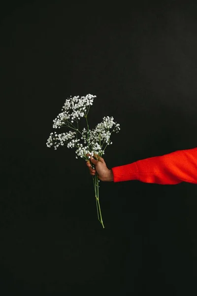 hand holding a bouquet of flowers on a black background