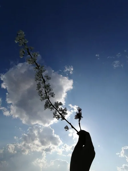 silhouette of a man with a blue sky