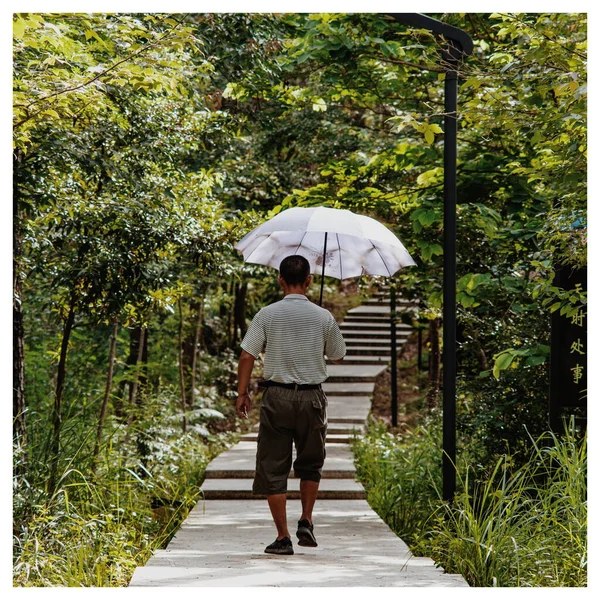 young man in a raincoat with umbrella in the park