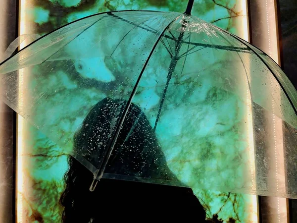 glass window with umbrella and brush