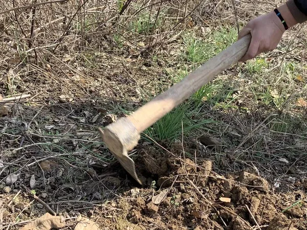 man digging a shovel in the forest