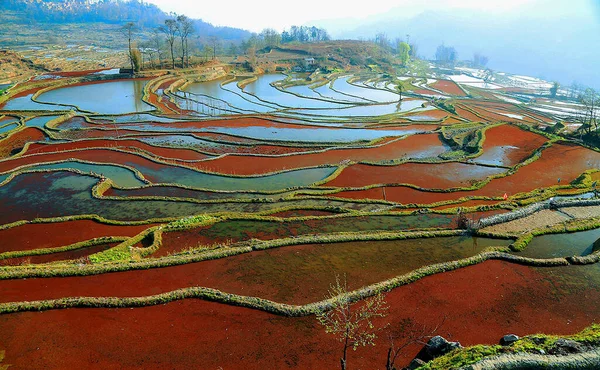the landscape of the rice fields in the north of vietnam