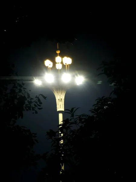 street lamp on the night