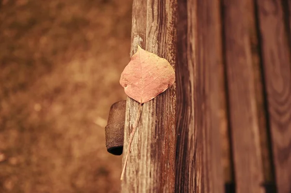 old wooden fence with a red handle