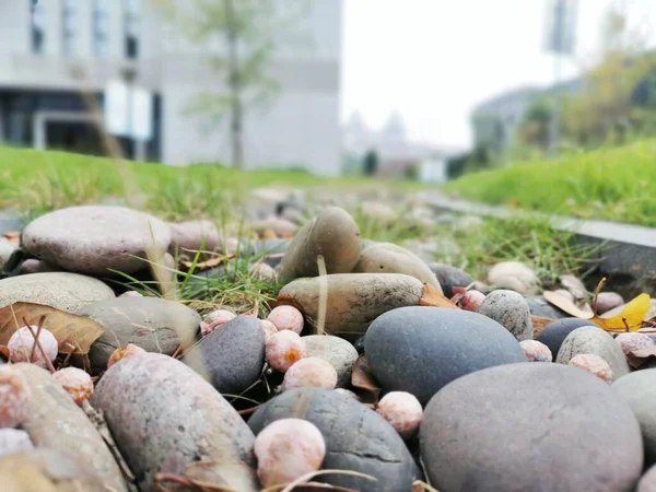 a closeup shot of a pile of stones on a background of green grass