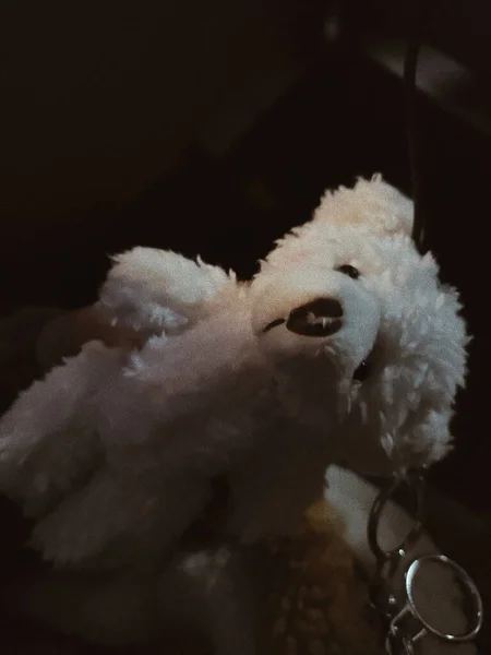 a closeup shot of a cute teddy bear