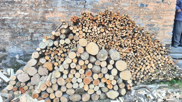 pile of wood logs in the forest