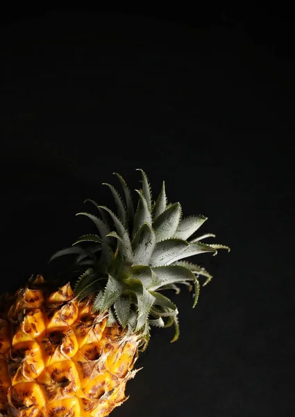 fresh pineapple on black background
