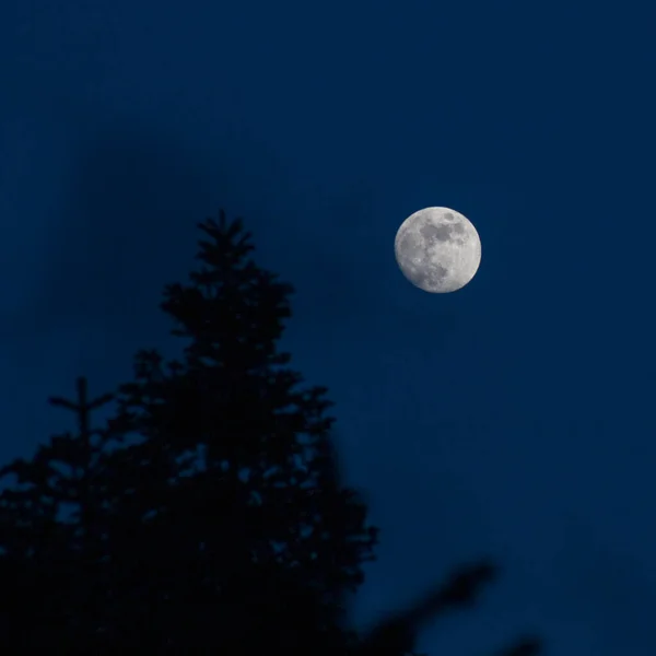 night sky with moon and stars