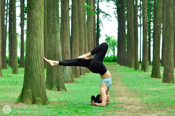 young woman practicing yoga in the forest