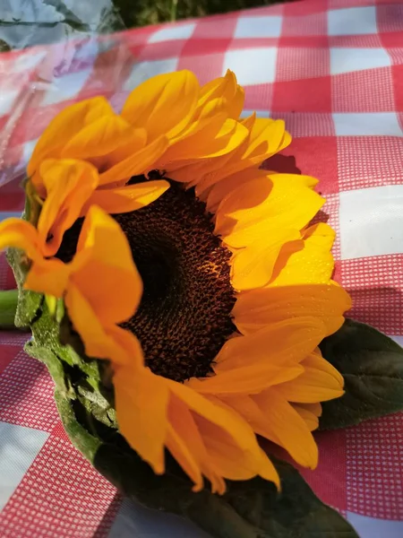 beautiful bouquet of sunflowers in a basket