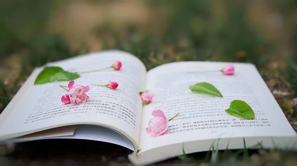 book with flowers and leaves on the grass