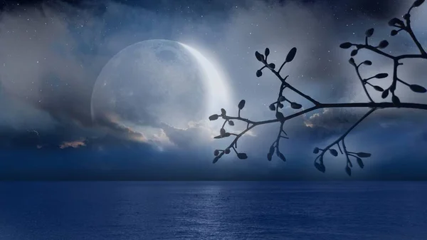 3d illustration of a tree with a moon and a blue sky