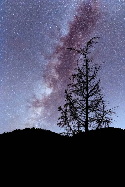 Belo Céu Noturno Com Estrelas Imagem De Stock