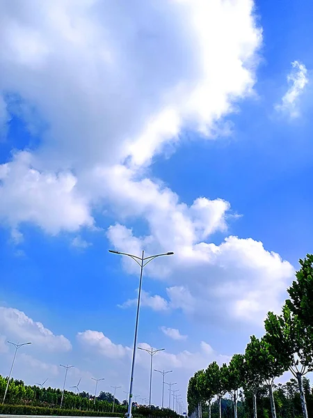 green sky and clouds, nature flora