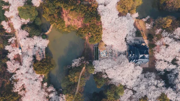 aerial drone view of the city of the capital of the state of israel