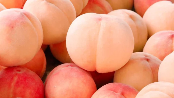 fresh ripe peaches on a white background