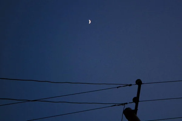 silhouette of a bird on the roof of the city