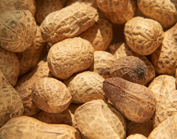 Close Lot Whole Walnuts Wooden Bowl — Stock Photo, Image