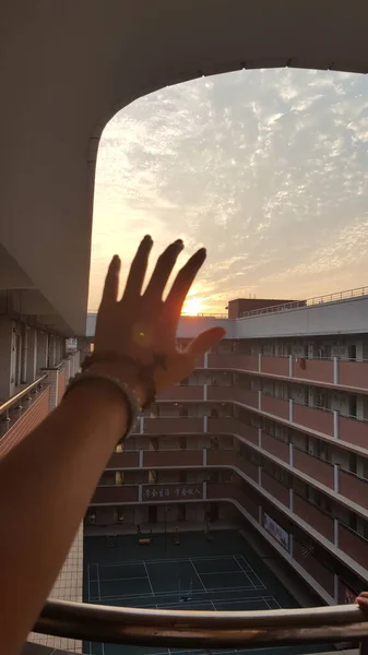 woman\'s hands with a window in the city