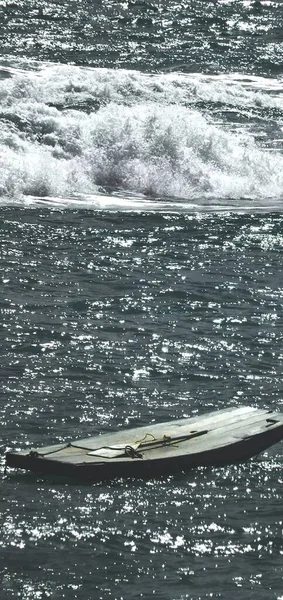 a vertical shot of a white whale on a black sea coast