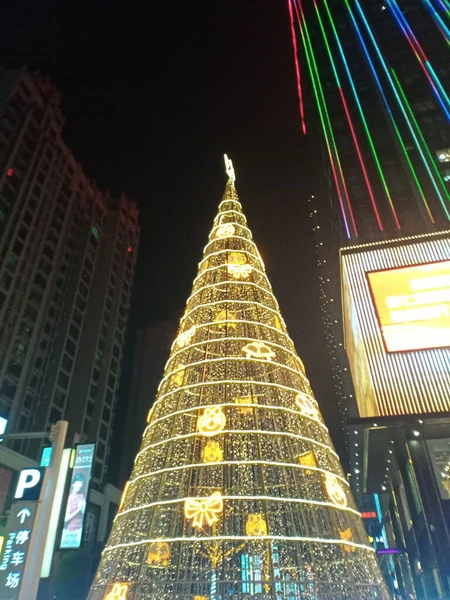 christmas tree in the city