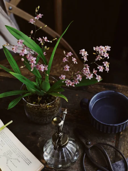 old book with flowers and a cup of tea on a wooden table