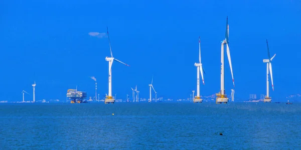 wind turbines on the sea coast