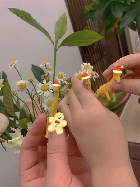 woman hands holding a flower in a hand