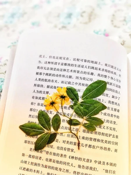 book with flowers and leaves