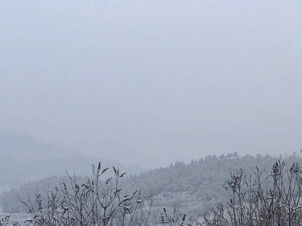 beautiful winter landscape with snow