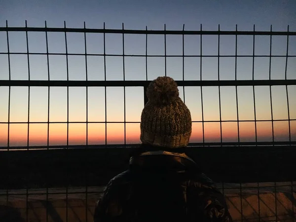 silhouette of a lion in the city