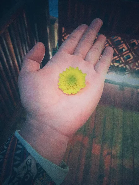 hand drawn flower on a background of a beautiful dress