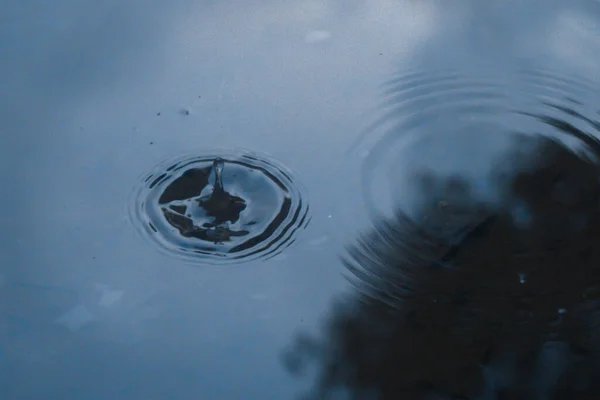 water drop on the surface of the lake