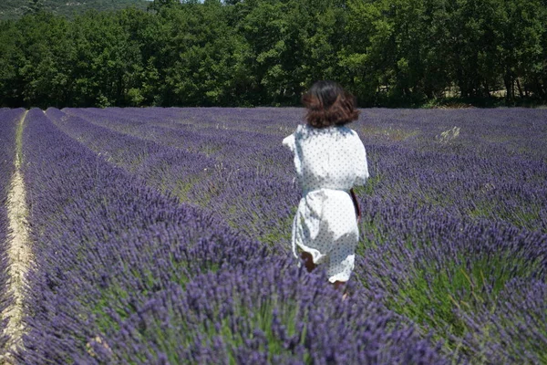 beautiful young woman in lavender field