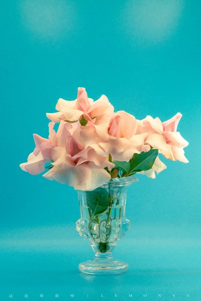 beautiful flowers in vase on blue background