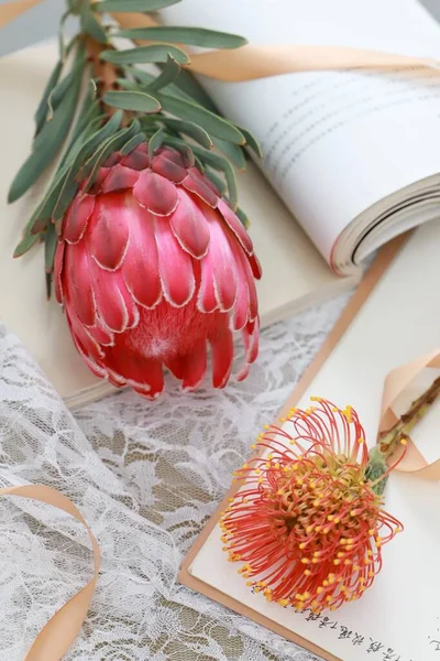 beautiful peony flowers and a book on a white background