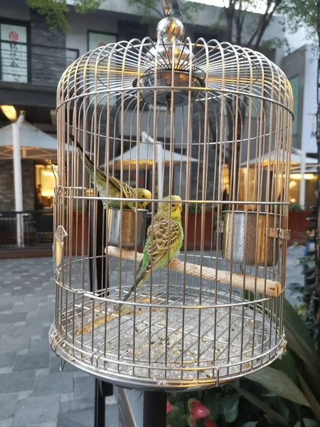 bird cage in the zoo