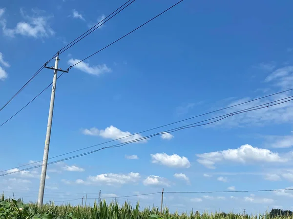 high voltage power line against the blue sky