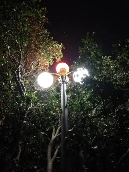 street lamp in the night