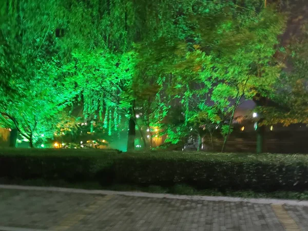 beautiful night view of the park